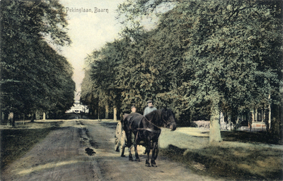 7429 Gezicht in de Pekinglaan te Baarn uit het zuiden.N.B. Later is de straatnaam Pekinglaan gewijzigd in Torenlaan.